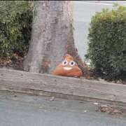 ヒメ日記 2025/04/09 21:19 投稿 なごみ SUZUME