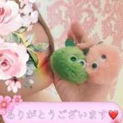 ヒメ日記 2025/04/16 19:05 投稿 なごみ SUZUME