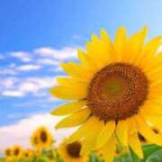 ヒメ日記 2025/04/25 10:15 投稿 なごみ SUZUME