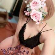 ヒメ日記 2025/05/04 19:10 投稿 なごみ SUZUME