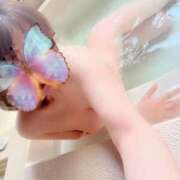 ヒメ日記 2025/05/31 18:11 投稿 なごみ SUZUME