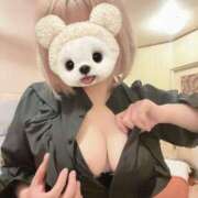 ヒメ日記 2025/06/07 06:45 投稿 なごみ SUZUME