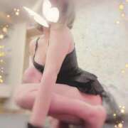 ヒメ日記 2025/06/20 09:01 投稿 なごみ SUZUME