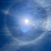 ヒメ日記 2025/07/08 05:27 投稿 なごみ SUZUME