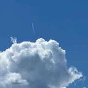 ヒメ日記 2025/07/09 06:45 投稿 なごみ SUZUME