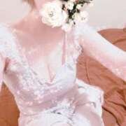 ヒメ日記 2025/08/12 20:54 投稿 なごみ SUZUME