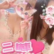 ヒメ日記 2025/09/05 19:02 投稿 なごみ SUZUME