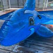 ヒメ日記 2025/09/08 06:00 投稿 なごみ SUZUME