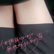 ヒメ日記 2025/09/11 07:31 投稿 なごみ SUZUME