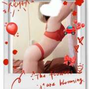 ヒメ日記 2025/09/29 20:15 投稿 なごみ SUZUME