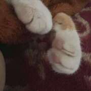 ヒメ日記 2025/10/05 10:58 投稿 なごみ SUZUME