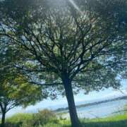 ヒメ日記 2025/10/14 10:01 投稿 なごみ SUZUME