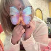 ヒメ日記 2025/11/01 07:15 投稿 なごみ SUZUME