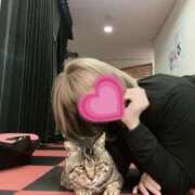 ヒメ日記 2025/11/02 13:00 投稿 なごみ SUZUME