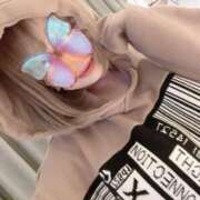 ヒメ日記 2025/11/21 17:38 投稿 なごみ SUZUME