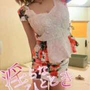 ヒメ日記 2025/11/29 08:31 投稿 なごみ SUZUME