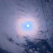 ヒメ日記 2025/12/09 06:09 投稿 なごみ SUZUME