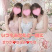 ヒメ日記 2026/02/21 09:30 投稿 なごみ SUZUME