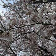 ヒメ日記 2026/02/25 08:02 投稿 なごみ SUZUME