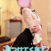 ヒメ日記 2026/03/02 11:51 投稿 なごみ SUZUME