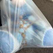 ヒメ日記 2026/02/12 11:00 投稿 黒羽えみり＠令和の18歳を侮るな アナラードライ