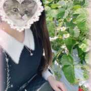 ヒメ日記 2025/03/27 19:49 投稿 ♡あお♡ Newビビアン＆ガールズコレクション