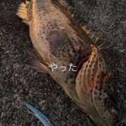 ヒメ日記 2026/01/13 18:20 投稿 ♡あお♡ Newビビアン＆ガールズコレクション