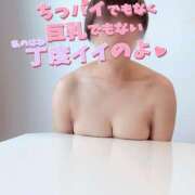 ヒメ日記 2025/01/08 07:31 投稿 ♢くらん♢ Newビビアン＆ガールズコレクション