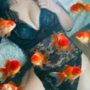 ヒメ日記 2026/04/03 22:20 投稿 ♢くらん♢ Newビビアン＆ガールズコレクション