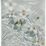 ヒメ日記 2024/12/07 16:51 投稿 新人・凛奈(りな) グランドオペラ福岡