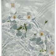 ヒメ日記 2024/12/07 19:06 投稿 新人・凛奈(りな) グランドオペラ福岡