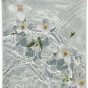 ヒメ日記 2024/12/12 20:44 投稿 新人・凛奈(りな) グランドオペラ福岡