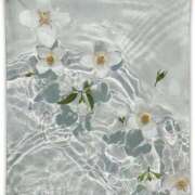 ヒメ日記 2025/02/17 20:41 投稿 新人・凛奈(りな) グランドオペラ福岡