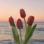 ヒメ日記 2025/06/19 01:36 投稿 新人・凛奈(りな) グランドオペラ福岡