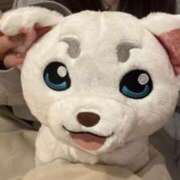 ヒメ日記 2026/02/19 20:05 投稿 まみ クラブアリア -CLUB ARIA-