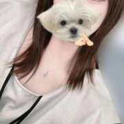 まい しゅん ぷるるん小町日本橋店