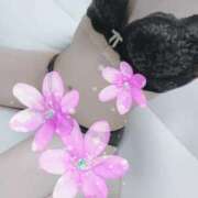 ♡のぞみ♡ 明日の Newビビアン＆ガールズコレクション