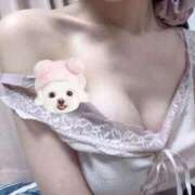 ヒメ日記 2025/12/18 21:09 投稿 さくらこ コートダジュール