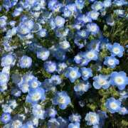 ヒメ日記 2025/06/03 12:52 投稿 いちか ピンクコレクション尼崎店