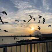 あやみ 納めませんか？🧧 ピンクコレクション尼崎店