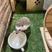 ヒメ日記 2025/03/04 21:12 投稿 うづき ピンクコレクション尼崎店