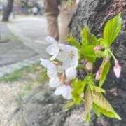 ヒメ日記 2026/04/27 14:02 投稿 ちあき ピンクコレクション尼崎店