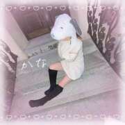 ヒメ日記 2025/01/04 22:42 投稿 奏【カナ】 ピンクコレクション大阪キタ店