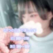 ヒメ日記 2026/04/03 01:04 投稿 ゆい 京都祇園・南インターちゃんこ