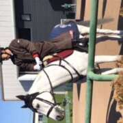 ヒメ日記 2025/01/07 23:01 投稿 ひびき 鴨川excellent