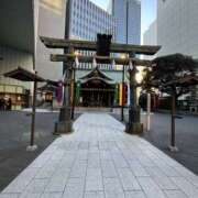 ヒメ日記 2024/12/17 14:00 投稿 りりさ 錦糸町人妻セレブリティ（ユメオト）