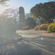 ヒメ日記 2024/12/23 10:19 投稿 りりさ 錦糸町人妻セレブリティ（ユメオト）