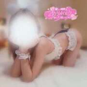 ヒメ日記 2024/12/28 00:02 投稿 間宮なつみ 渋谷ミルク