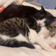 ヒメ日記 2024/12/26 13:22 投稿 ふらんそわ 完全密室 無抵抗