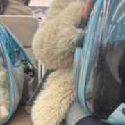 ヒメ日記 2025/01/03 18:48 投稿 ふらんそわ 完全密室 無抵抗